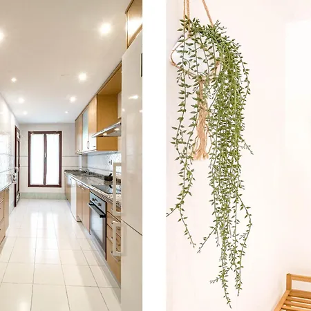 Noray Ingemar Bajo A